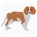 Beagle  Icon