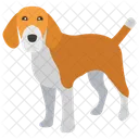 Beagle  Icon