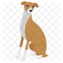 Beagle  Icon