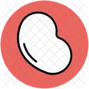 Bean  Icon