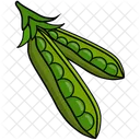 Bean Colour Green Icon