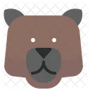 Bear  Icon