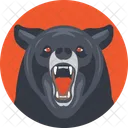 Bear Mammal Animal Icon