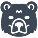 Bear  Icon