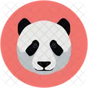 Bear Panda Wild Icon