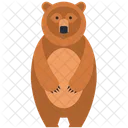 Bear  Icon