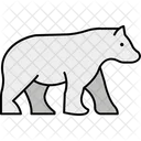 Bear  Icon