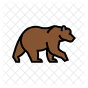 Bear  Icon