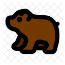 Bear  Icon