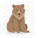 Bear  Icon