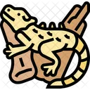 Bearded Dragons Lizard Icon