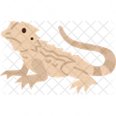 Bearded Lizard  Icon