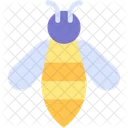 Bee  Icon