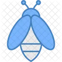 Bee Honey Insect Icon