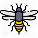 Bee Honey Bee Insect Icon