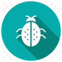 Bee Bug Insect Icon