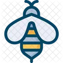 Bee Insect Bug Icon