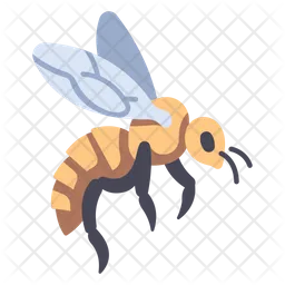 Bee  Icon