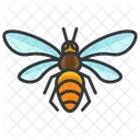 Bee  Icon