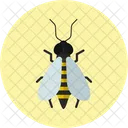 Bee Honey Insect Icon