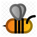 Bee Spring Insect Icon