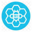 Wax Apiary Honeycomb Icon