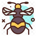 Bee Insect Fly Icon