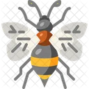 Bee  Icon