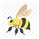 Bee Honey Bee Insect Icon