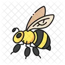 Bee Honey Bee Insect Icon