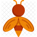 Bee Insect Honey Icon