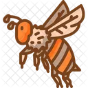 Bee  Icon