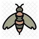 Bee  Icon