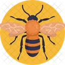 Insects And Bugs Bee Insect Icon