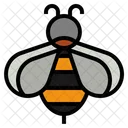 Bee  Icon