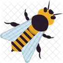 Bee  Icon