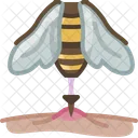 Bee  Icon