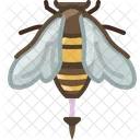 Bee  Icon