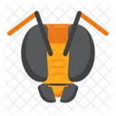 Bee Insect Honey Icon