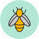 Bee  Icon