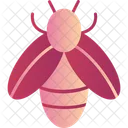 Bee  Icon