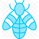 Bee  Icon