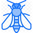 Bee  Icon