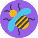 Bee  Icon