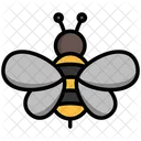 Bee  Icon