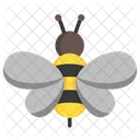 Bee  Icon