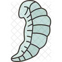 Bee Larvae Larvae Bee Icon