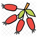 Beere Obst Beeren Symbol