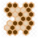 Bees Honeycomb Larvae Icon