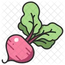 Beet  Icon